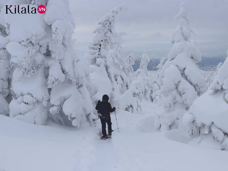 quái vật núi Zao